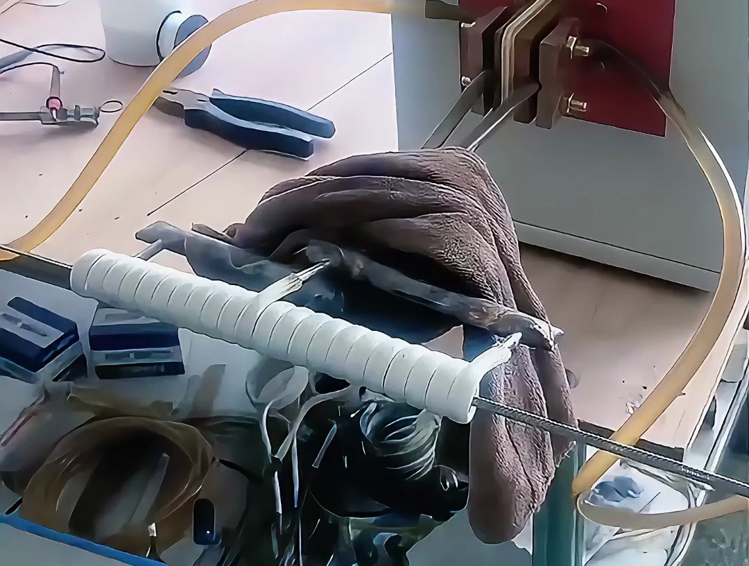 海瑞拓高頻退火機(jī)：不銹鋼絲在線退火熱處理的高效之選，賦能多領(lǐng)域線材制造(圖2)